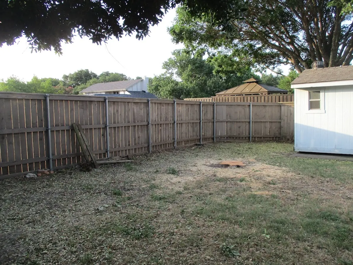 Cleared yard after professional tree removal in Orange